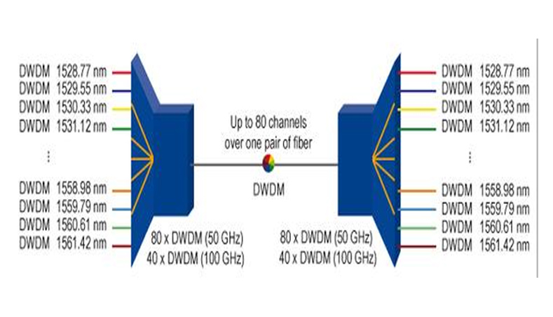 DWDM