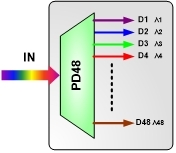 Structure-2.jpg