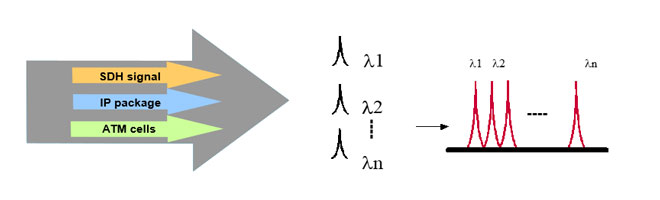 wdm-in-networking.jpg