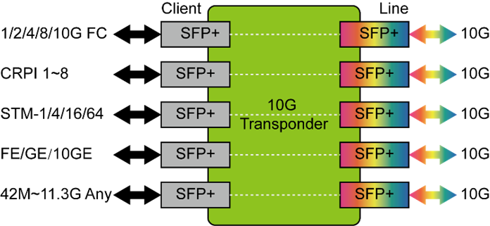 10_SFP+_CDWDM_Transponder_Functional.png