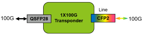 100g-Functional-Structure.jpg