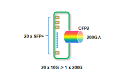 Function Structure