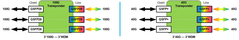 6-Channes-40G-100G-Transponder-Functional-Structure.jpg