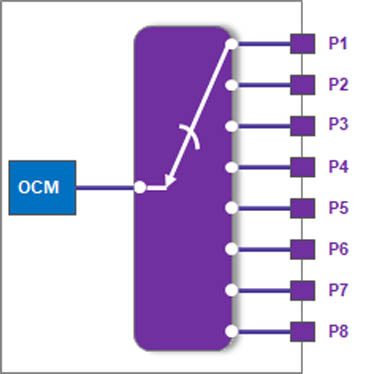 OCM-2.jpg