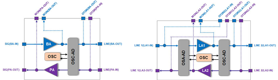 Structure-2.jpg